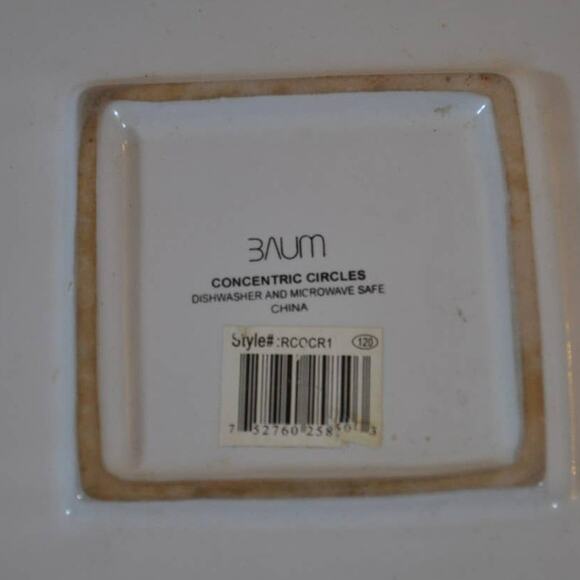 Concentric Circles Dinner Plate by Blum - 11" x 11" - Picture 4 of 5